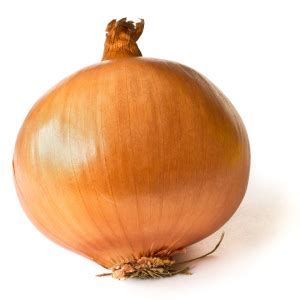 onions grow   vegetables