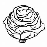 Repolho Colorear Repollo Cabbage Desenho Colorironline sketch template