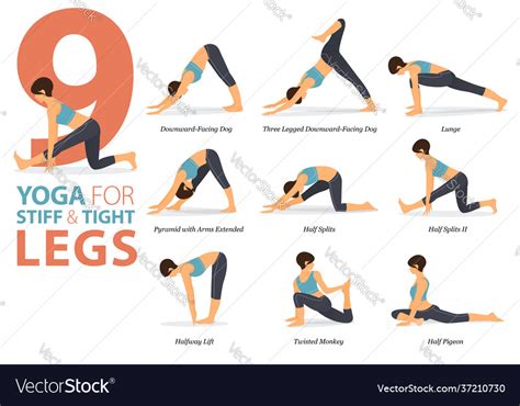 9 yoga poses for stiff and tight legs concept vector image