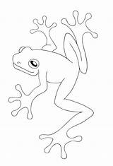 Malen Frosch Frog sketch template