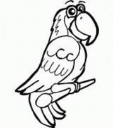 Parrot Papagal Colorat Papagei Papagali Desene Planse Ausmalbilder Macaw Desenat Finished Parrots Ausmalbild Malvorlage Designlooter Pasari Educative Macaws Trafic sketch template