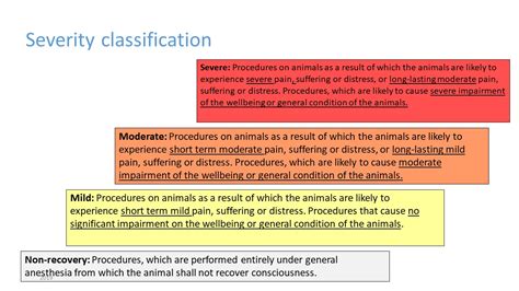classification  reporting  severity  procedures dyreavdelingen uib