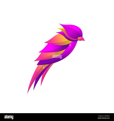 bird logo concept  colorful gradient style elegant modern design