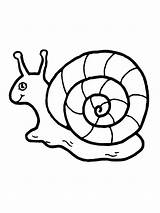 Melc Snail Schnecke Malvorlagen Colorat Escargot Planse Lumaca Caracol Desene Kinderbilder Niedliche Melci Malvorlage Melcul sketch template