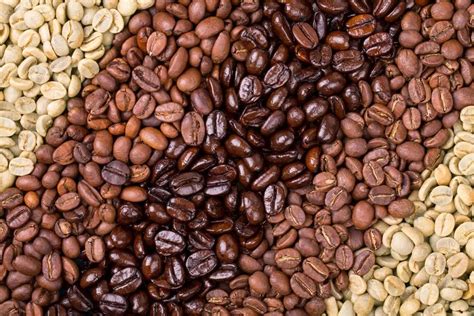 the different coffee beans explained triple two coffee