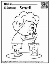 Senses Smell Sight sketch template