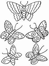 Butterflies Coloring Fun Kids Vlinder Vlinders sketch template