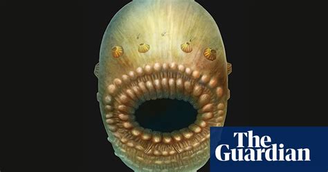 A Huge Mouth And No Anus – This Could Be Our Earliest Known Ancestor