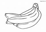 Platano Bananen Banane Platanos Ausmalbild Malvorlage Obst Ausdrucken sketch template