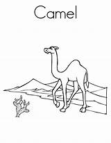 Camel Coloring Worksheet Desert Pages Sheet Arabian Drawing Kids Printable Tall Am Print Twistynoodle Handwriting Caravan Outline Built California Usa sketch template