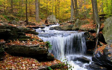 forest waterfall wallpapers wallpaper cave