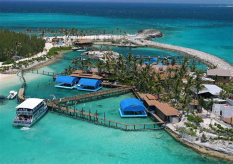 The Top 10 Blue Lagoon Island Tours And Tickets 2022 – Bahamas