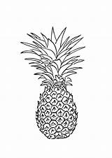 Abacaxi Frutas Simples Vários Temos Branco Complexidade Detalhados Simplesmente Aproveite Exemplos Recortar sketch template