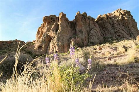 discover outdoors  kingman  area attractions