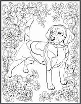 Dog Destress Iheartdogs Colouring Beagle Erwachsene Ausmalbilder Hunde Relief Books Malvorlagen sketch template
