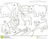 Educativo Animali sketch template