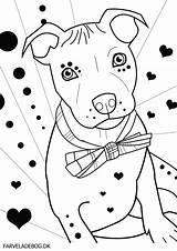 Coloring Pitbull Pages Bull Dog Terrier Pit Puppy Silhouette Puppies Printable Getdrawings Clip Getcolorings Colorings Popular Color sketch template