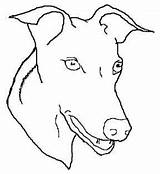 Greyhound Line Head Outline Drawing Dog Dogs Study Animals Clipart Drawings Getdrawings Cliparts Paintingvalley Library Collection sketch template