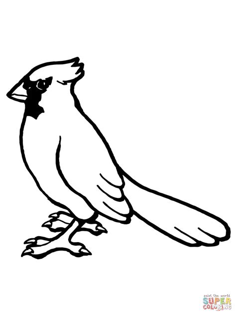 dibujo de ave cardenal norteno  colorear dibujos  colorear