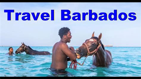 barbados travel tips and advice a barbados travel guide travel