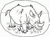 Coloring Pages Rhino Rhinoceros Printable Animals Kids Endangered Rhinos Color Rainforest Colouring Print Species Preschool Animal Sheet Child Fun Popular sketch template