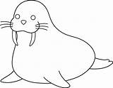 Walrus Morse Pages Animaux Coloriage Sweetclipart Lineart Colorable Coloriages Colorier sketch template