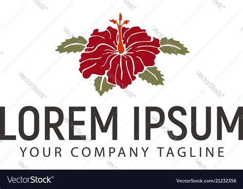 hibiscus flower logo design concept template vector image