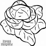 Coloring Pages Cabbage Fruits Vegetables Cucumber sketch template