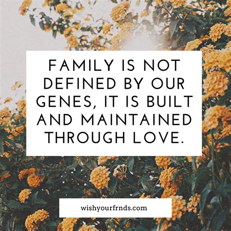 family quotes  love   family  important quotes