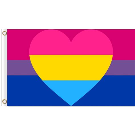 Bisexual Panromantic Combo Flag 3x5 Ft Printed Polyester Large Gay