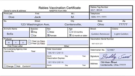 printable rabies certificate printable world holiday