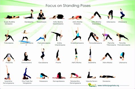 basic yoga poses work  picture media work  picture media