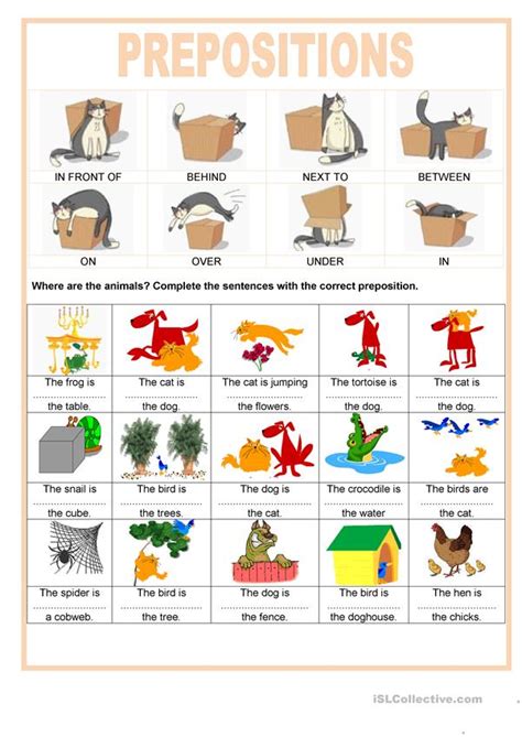prepositions    animals english esl worksheets