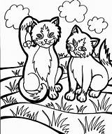 Coloring Cat Pages Color Animal Printable Animals Year Old Girls Print Iriomote Kids Sheet Kitty Cats Kitten Adults Clipart Fun sketch template