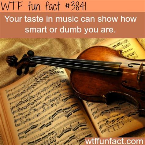 Your Taste In Music Can Show Your Intelligence Wtf Fun