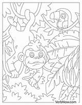 Monkey sketch template