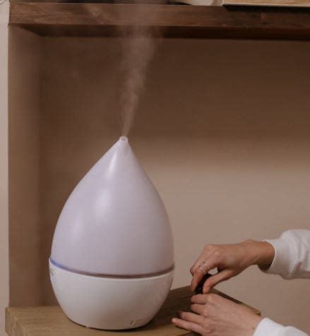 put   humidifier  prevent mold prevent mold  humidifier