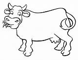 Coloring Cow Pages Realistic Sheet Getcolorings Color Printable sketch template