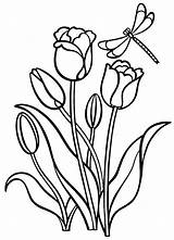 Tulpen sketch template