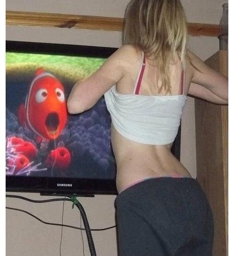 Finding Nemo Pictures And Jokes Funny Pictures And Best