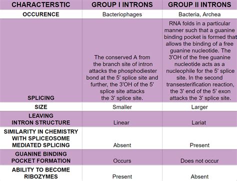 difference  group   group ii introns  biology dictionary