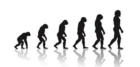 evolution  evoluzione definizione ed etimologia