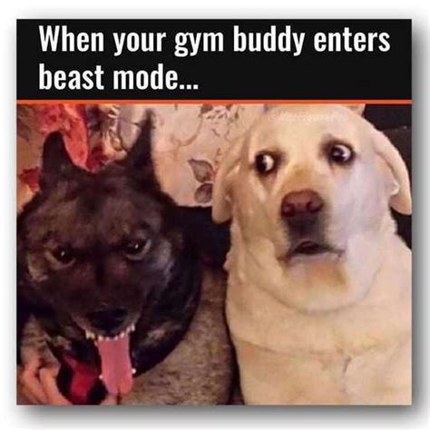 35 Hilarious Workout Memes For Gym Days