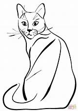 Coloring Cat Sitting Pages Drawing sketch template