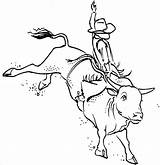 Bucking Toros Rodeo Bulls Monta Pbr Toro Riders Vaquero sketch template