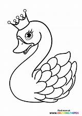 Crown Swans Animals sketch template