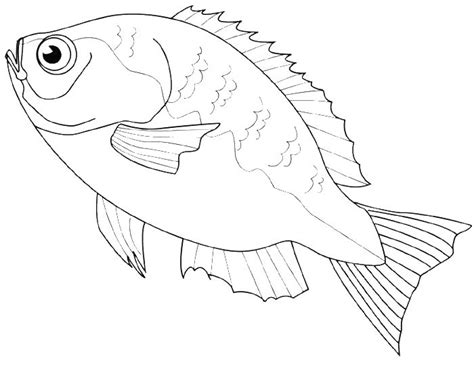 fish   sold  markets coloring pages animal coloring