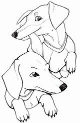 Dachshund Coloring Pages Printable Drawing Stencil Aphmau Aaron Puppy Dog Long Color Silhouette Template Getcolorings Getdrawings Haired Clube Pencil sketch template