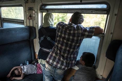 opinion a refugee tragedy in austria the new york times