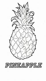 Pineapple Coloring Outline Pages Vector Apple Adult Template Getdrawings Adults Colorings Vectorified sketch template